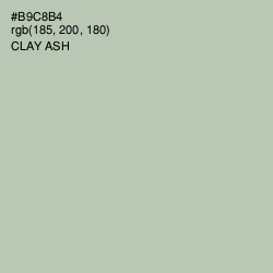 #B9C8B4 - Clay Ash Color Image